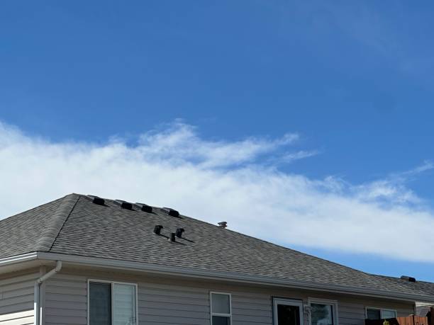 Trusted Makawao, HI Roofing Services Experts